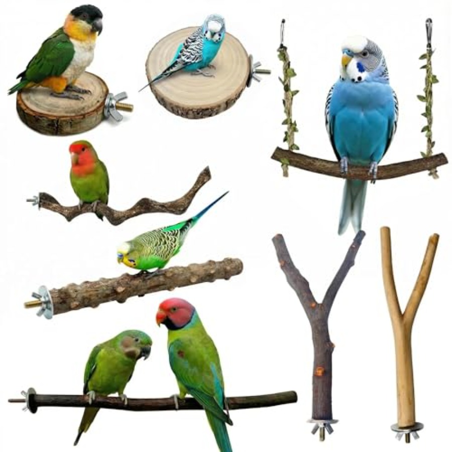 Health & Wellness Naics Code - 8 perchoirs en bois naturel pour