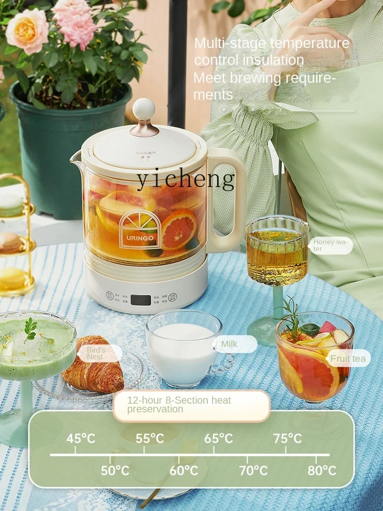 Petit pot de thé multifonction - Health & Wellness Naics Code avis et prix